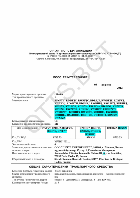 ОТТС РОСС FR.МТ02.Е06297Р1 — превью документа