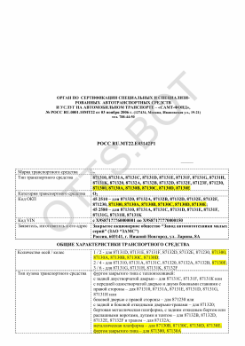ОТТС РОСС RU.МТ22.Е03142Р1 — превью документа